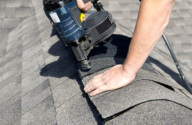 Best Asphalt Shingle Roofing  in Frackville, PA